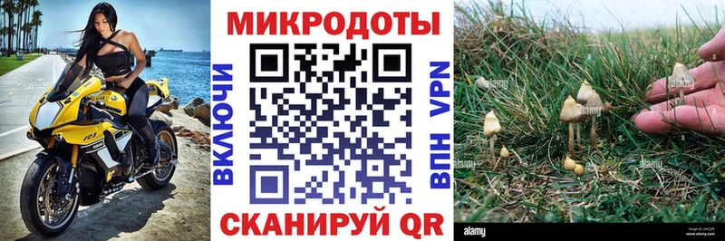 хочу   Серафимович  Псилоцибиновые грибы Psilocybine cubensis 